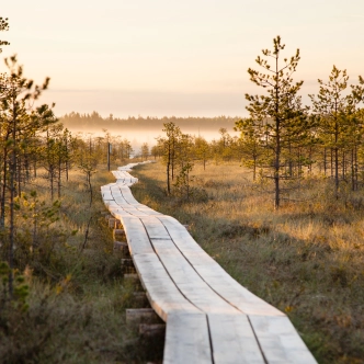 Meenikunno raba matkarada, foto internetist Kylli Kolina